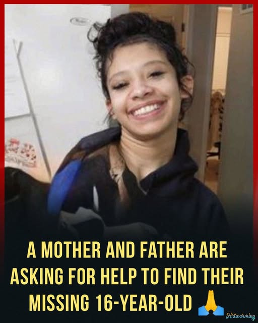 Mary Zientek Sulaiman tweet media