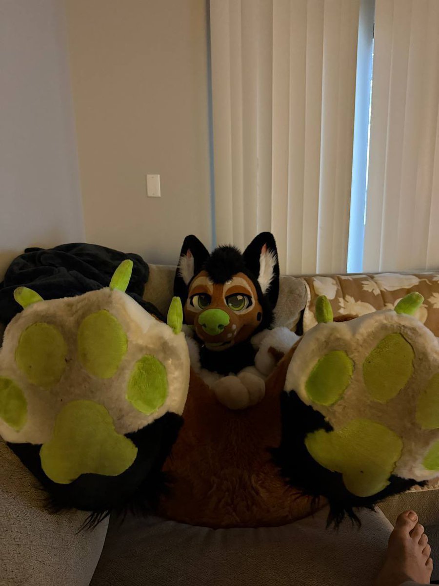 Chuckles Shep tweet media