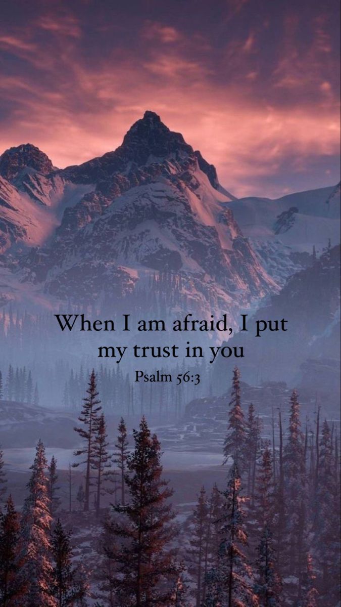 John_Matthew_T's tweet photo. Psalm 56:3 https://t.co/NxrczIdCx3
