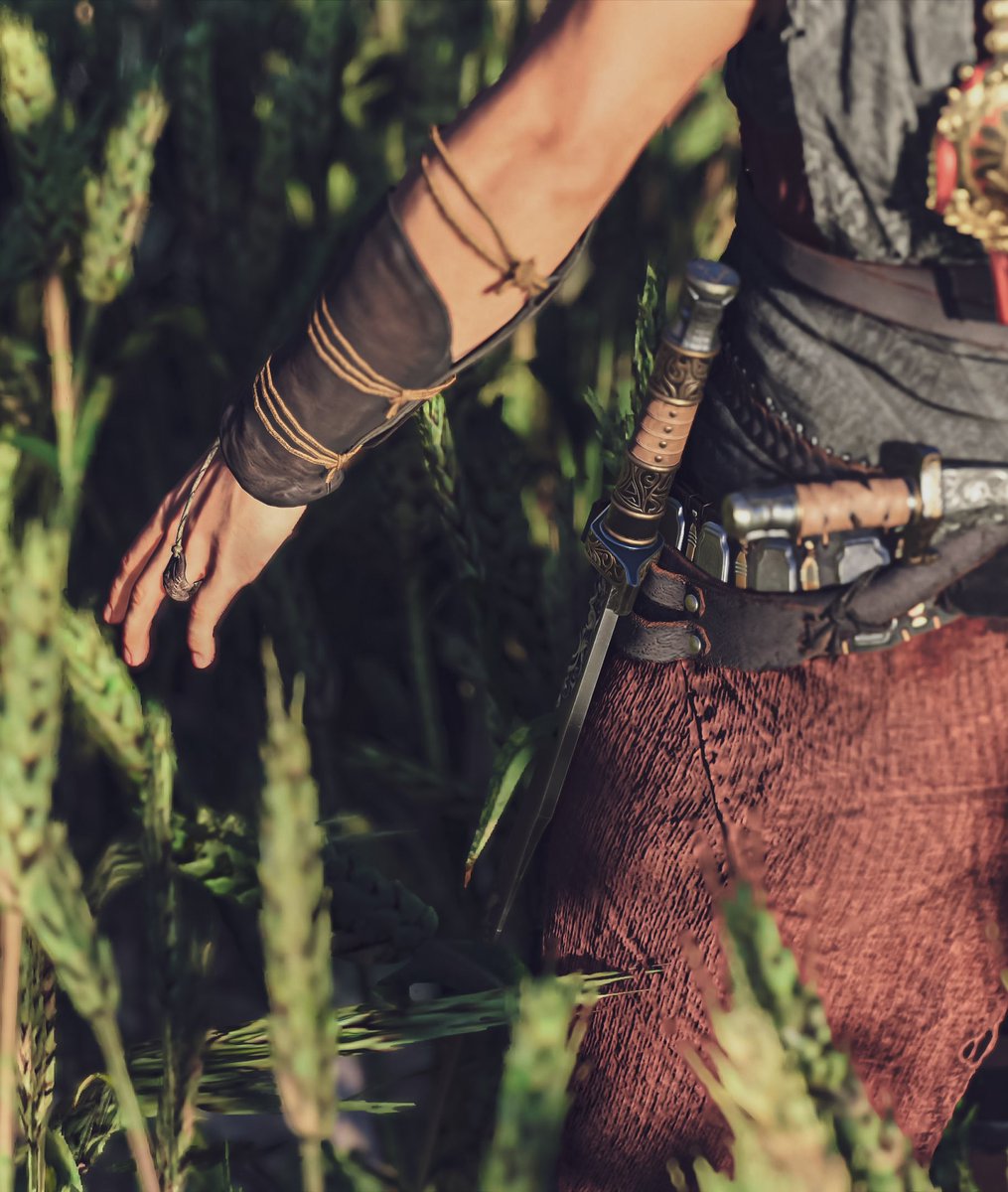 🌾

#AssassinsCreedMirage