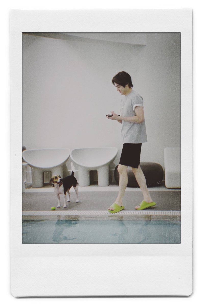 XIAOJUNTEAM's tweet photo. 🐶🫶🐶

#PrincessBella #XIAOJUN #샤오쥔 #肖俊 https://t.co/W127gK6FwQ