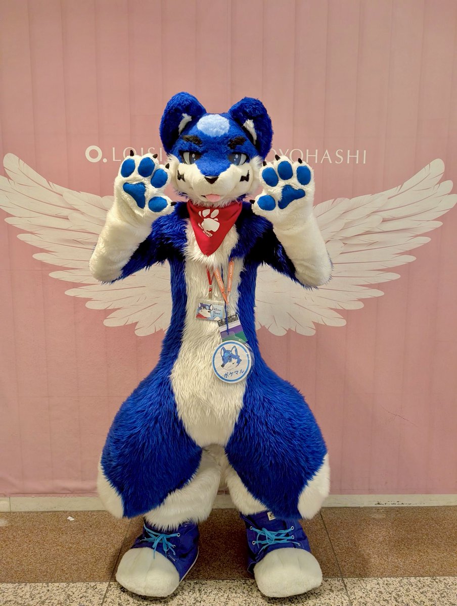 ロワジール豊橋ありがとうございました！🤗
#FursuitFriday #JMoF2026