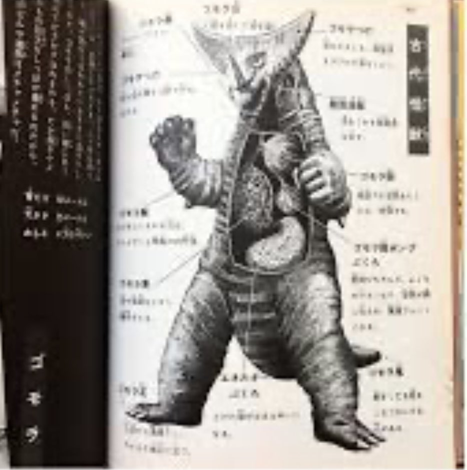 final154's tweet image. ＃ゴモラ

ちなみに「超振動波」について昔は「怪獣図鑑」のみの言及で「大怪獣バトル」から戦闘でも使うようようになった…というよりも「使える」から現代まで生き延びた「ゴモラザウルス」の一群が初代やその別個体だろうね。