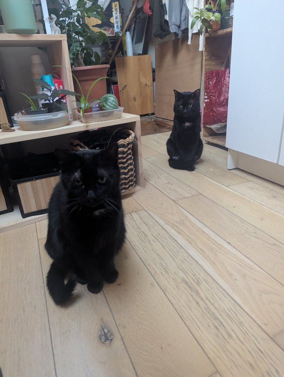 EbibiGlass's tweet image. Copie colle