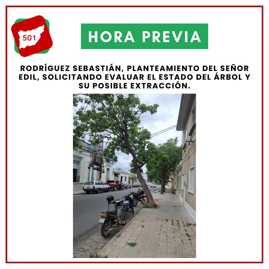 Lista 501- Florida tweet media