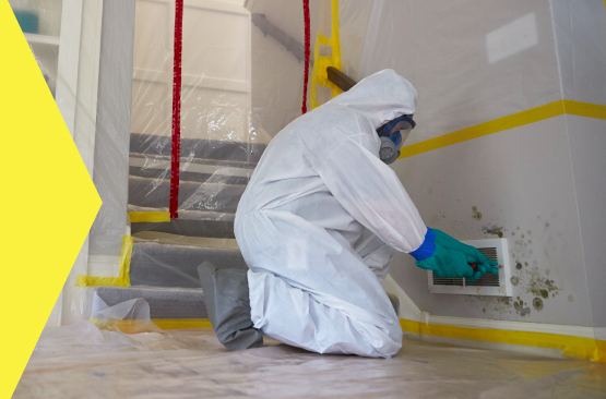 #UpcomingTrainings Join us for our next Mold Inspector Trainings! 
Mold Inspector Refresher: January 30th 
Register Here👇
lnkd.in/erNYq6YX
Mold Inspector Initial: February 4-6
Register Here👇
lnkd.in/e6N2jW4U
