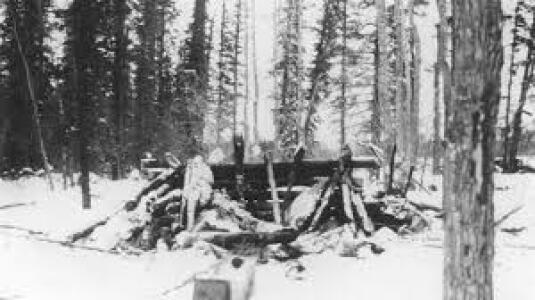 Horrifying History tweet media