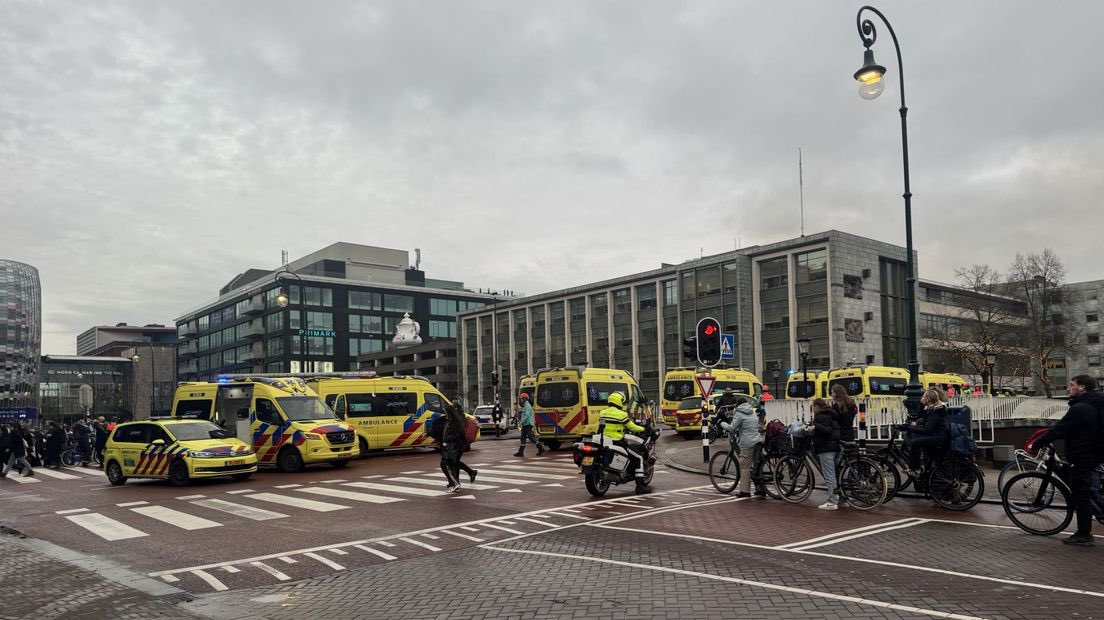 boppinmule tweet media