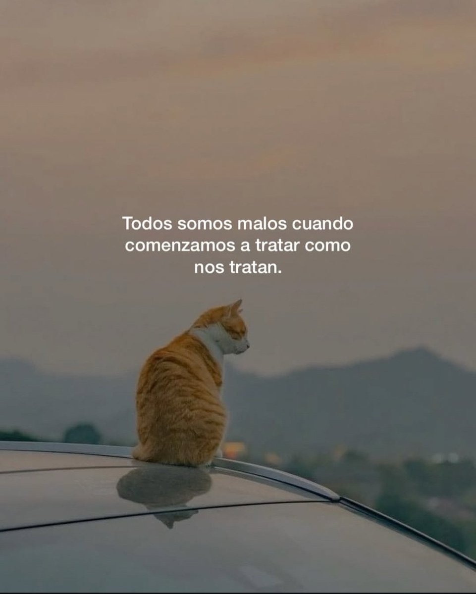 Berilyn_02's tweet image. 