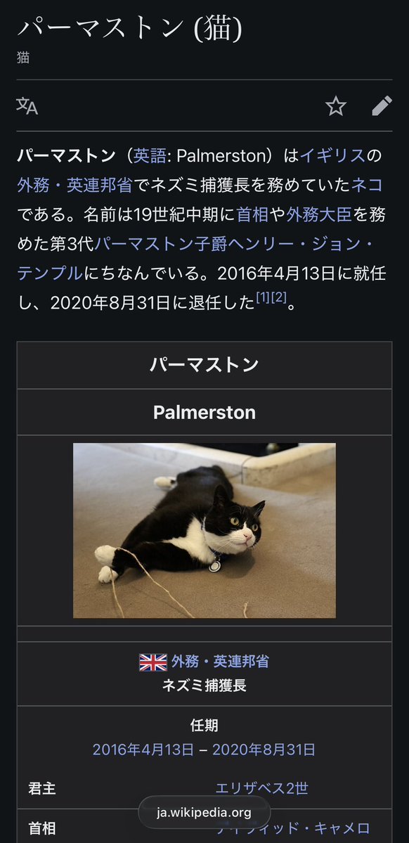 ウィキペディア、イギリスの首相官邸で働く猫の情報がやたら充実してるな