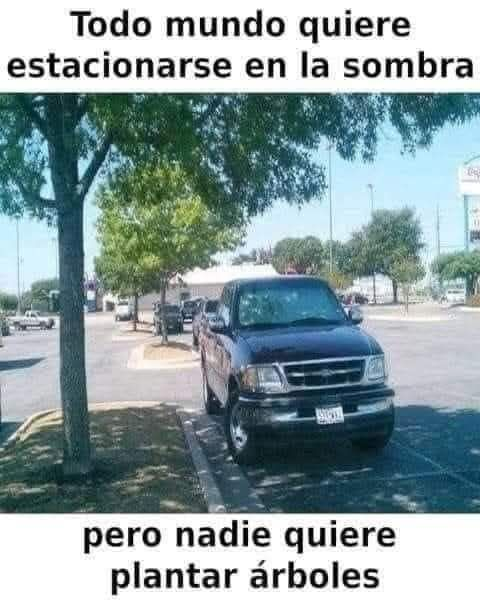 MsCiencia2's tweet photo. Incongruencias de la vida. https://t.co/bcMdWpTQNk