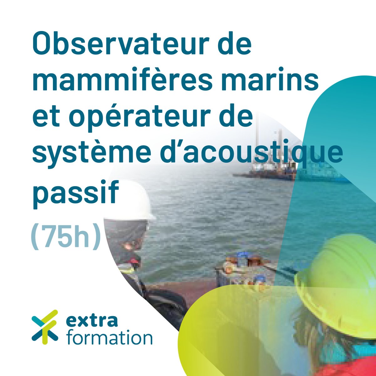 FormContCLP's tweet image. Vous  avez de l'intérêt pour les grandes espèces vivant dans notre fleuve Saint-Laurent? Assurer leur protection serait un rêve?

Vivez l'aventure en participant à notre certification collégiale en ligne débutant le 10 mars 2026.  En savoir plus :   monurl.ca/bservamasap