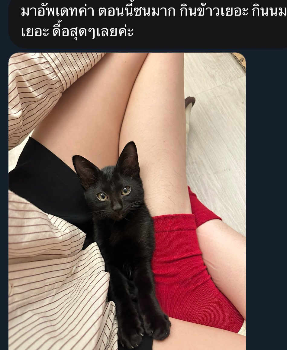 อัพเดทวันนี้คือแจ้มแอบฟูแล้วละก็แอบซนด้วย คิดไม่ผิดจริงๆที่โพสต์รูปน้องตอนไปเจอครั้งแรก ไม่งั้นตอนนี้คงน่าจะร้องเพราะหิวอยู่ ฮื้ออออออออ😭