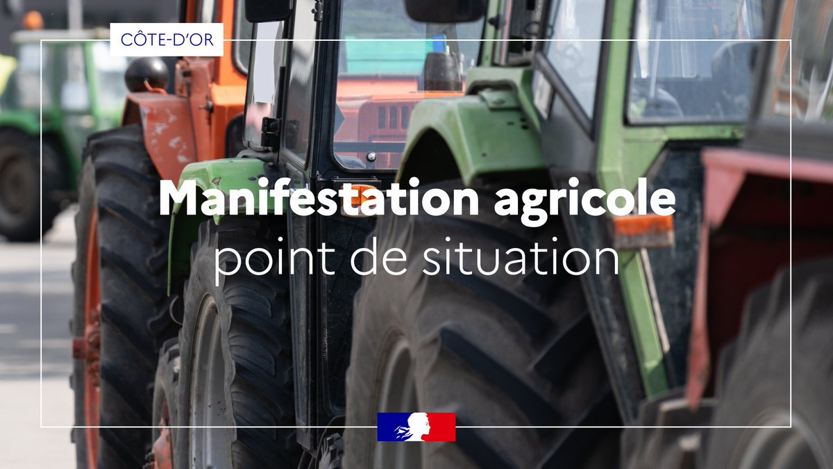 Image de Préfet Bourgogne-Franche-Comté Préfet Côte-d'Or - 🚜 Manifestation agricole en cours à #Dijon

Les manifestants arrivent Place de la République.

➡️Po