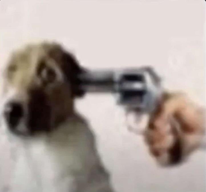 tortadefrango67's tweet image. as vezes as consequências das minhas ações é culpa minha mesmo né