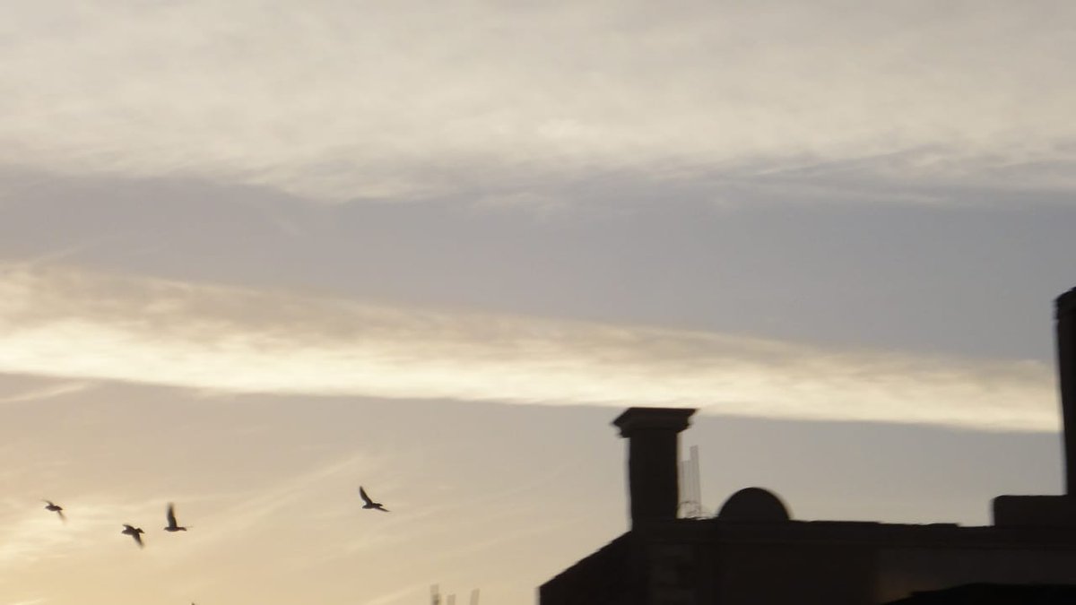 dext5_'s tweet image. 