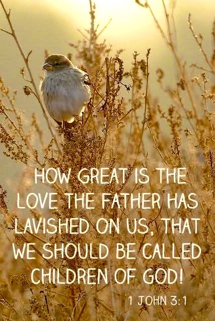 Lindangle74's tweet photo. Nothing or No One
 Can separate us from 
The love of God! 🤎👑 https://t.co/8dNKmHXfZ6