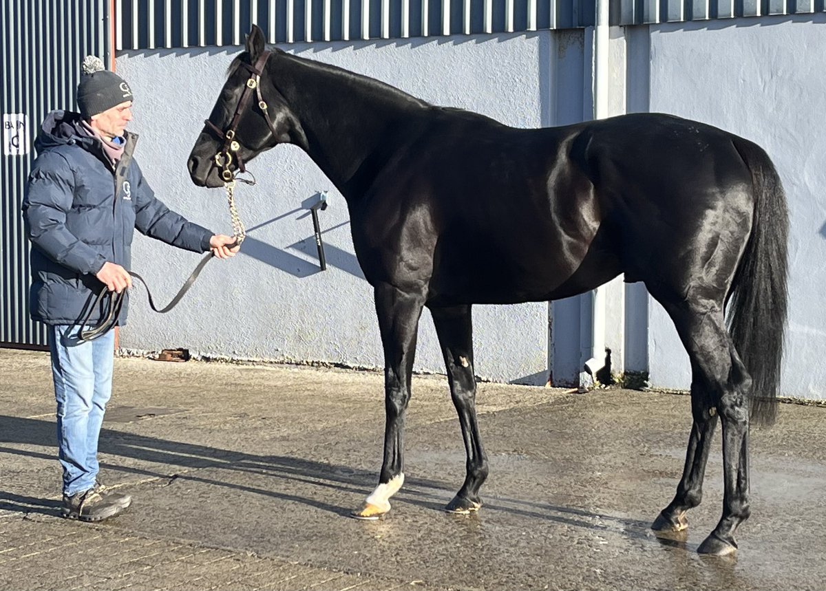 Ferdlant Stud tweet media