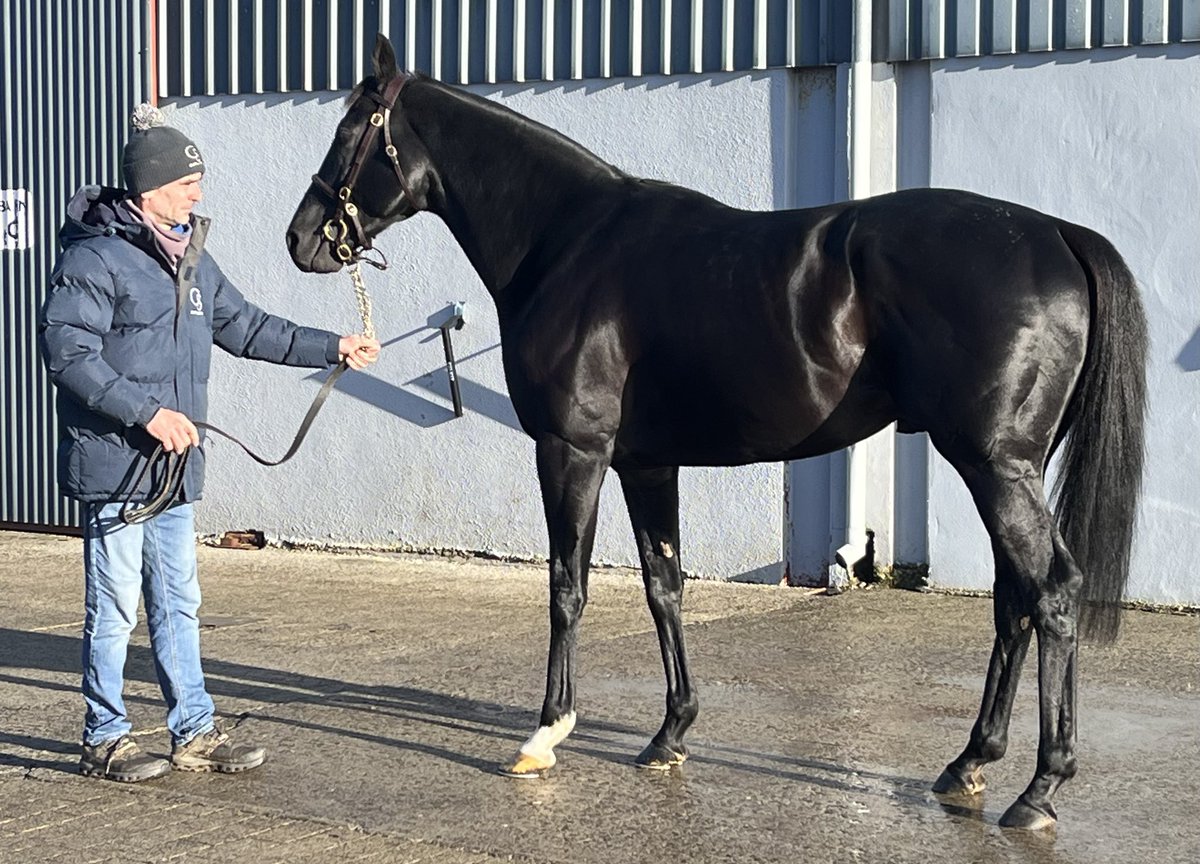 Ferdlant Stud tweet media