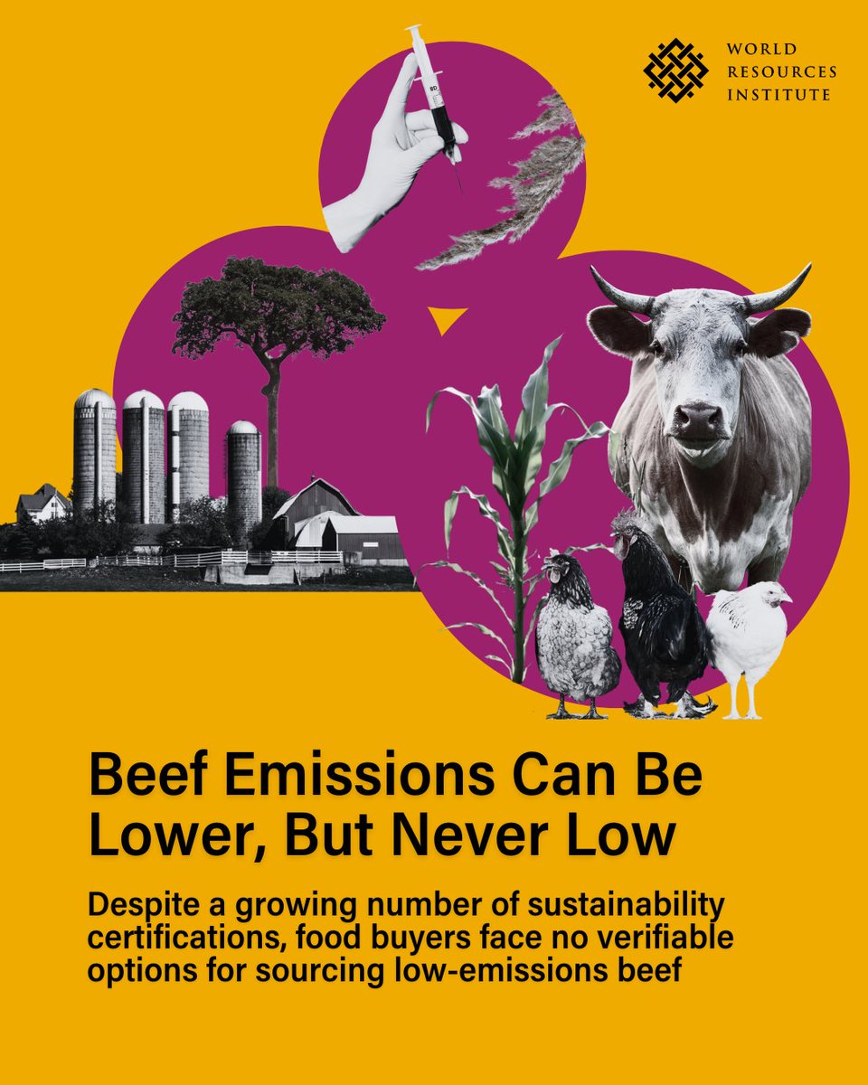 WRI Food tweet media