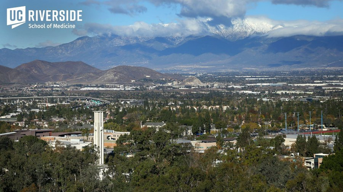 Zhou Lab tweet media