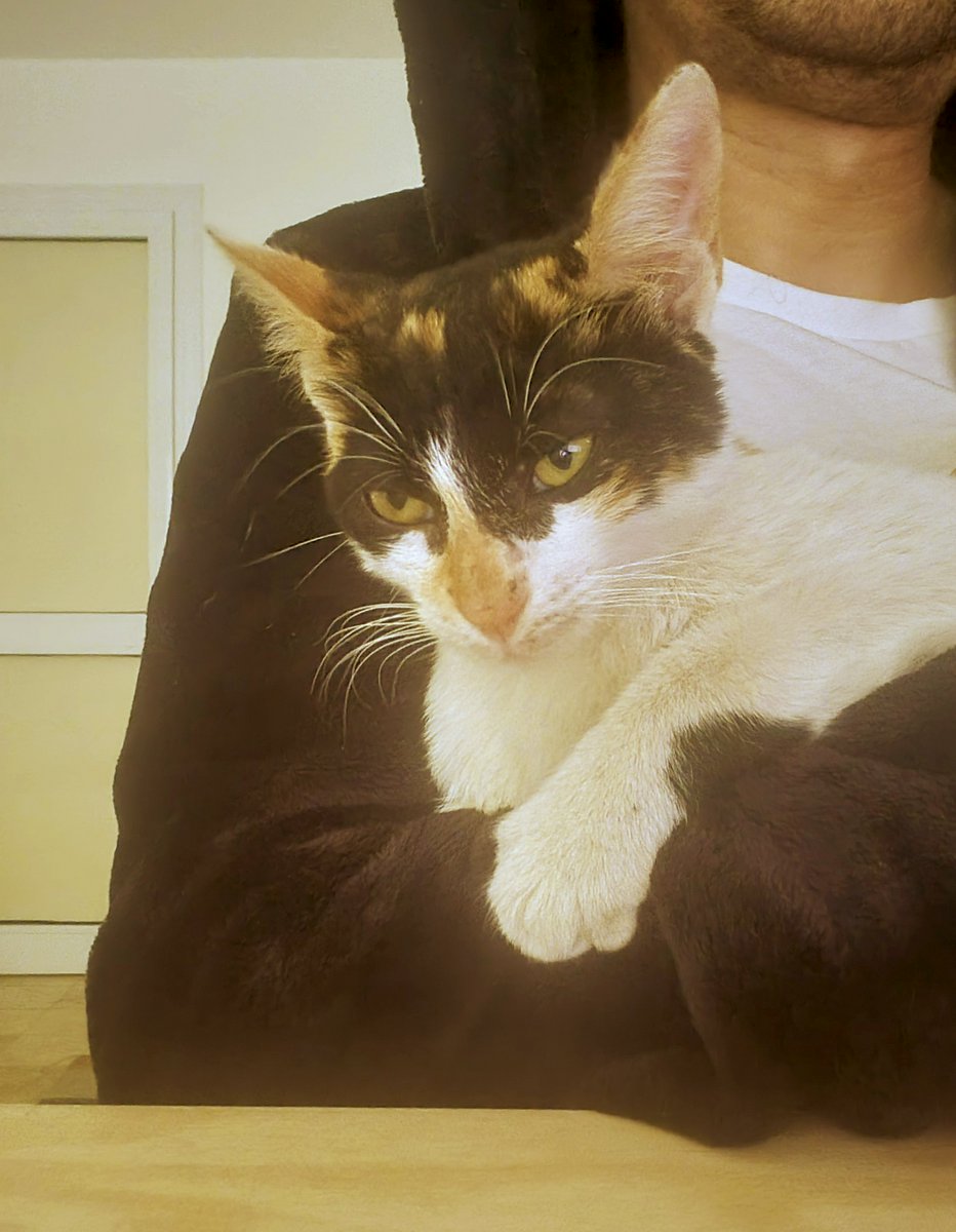 Bathed her today and, surprisingly, she still doesn't hate me. dlvr.it/TQMcp2