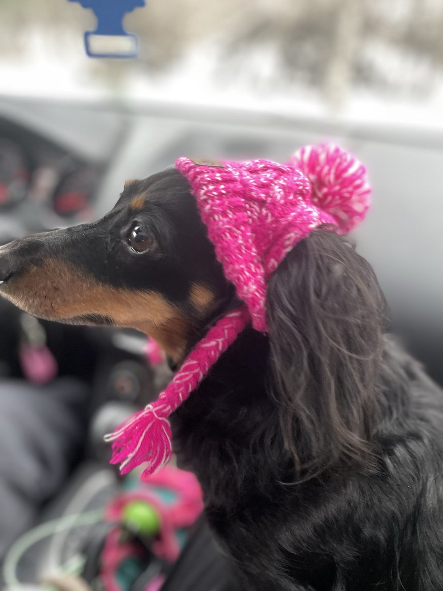 Terry | Male UGC creator tweet media