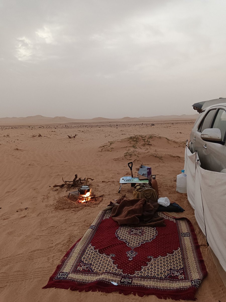 بعد السيول والقيلوله فنجال ...