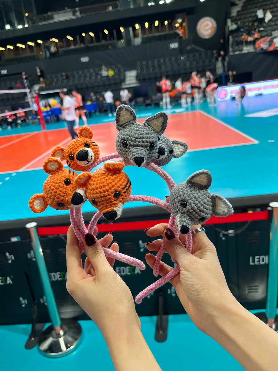 Kurt olan kaplan da olurdu zaten🐺🐯