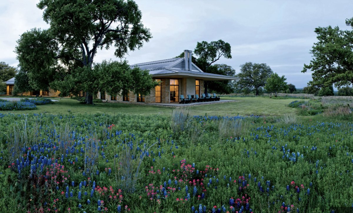 X 공개 게시물 이미지 예시