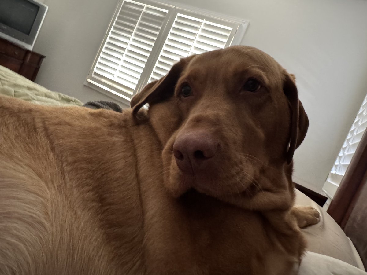 What would you do if you woke up next to me this morning?  😎