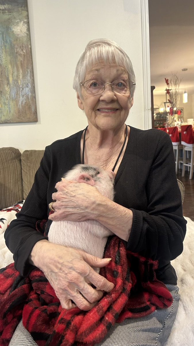 Amanda Paige tweet media