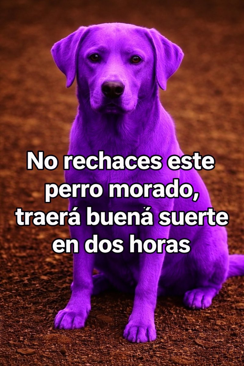 SuavesLomitos's tweet image. 