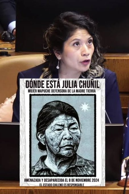 🔹Parece que en el patio de su casa estimada diputada <a href="/ericka_nanco/">Coca Ñanco Diputada ✴️🇨🇱</a> , y la mataron sus propios familiares.