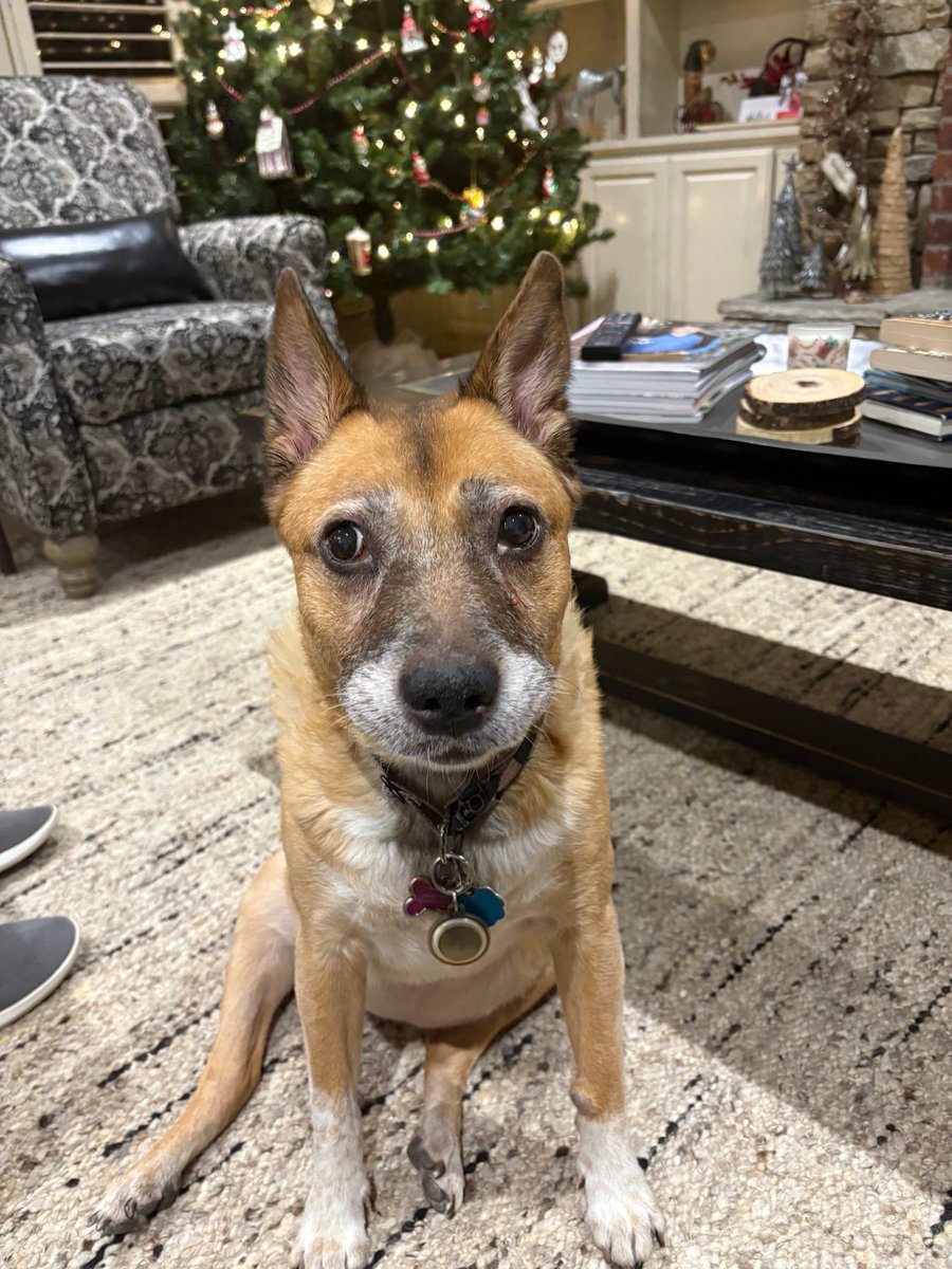 Minnie's mom tweet media