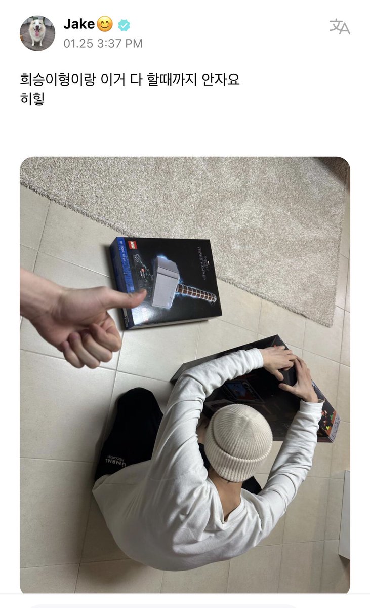 씅젴 아카이브 tweet media