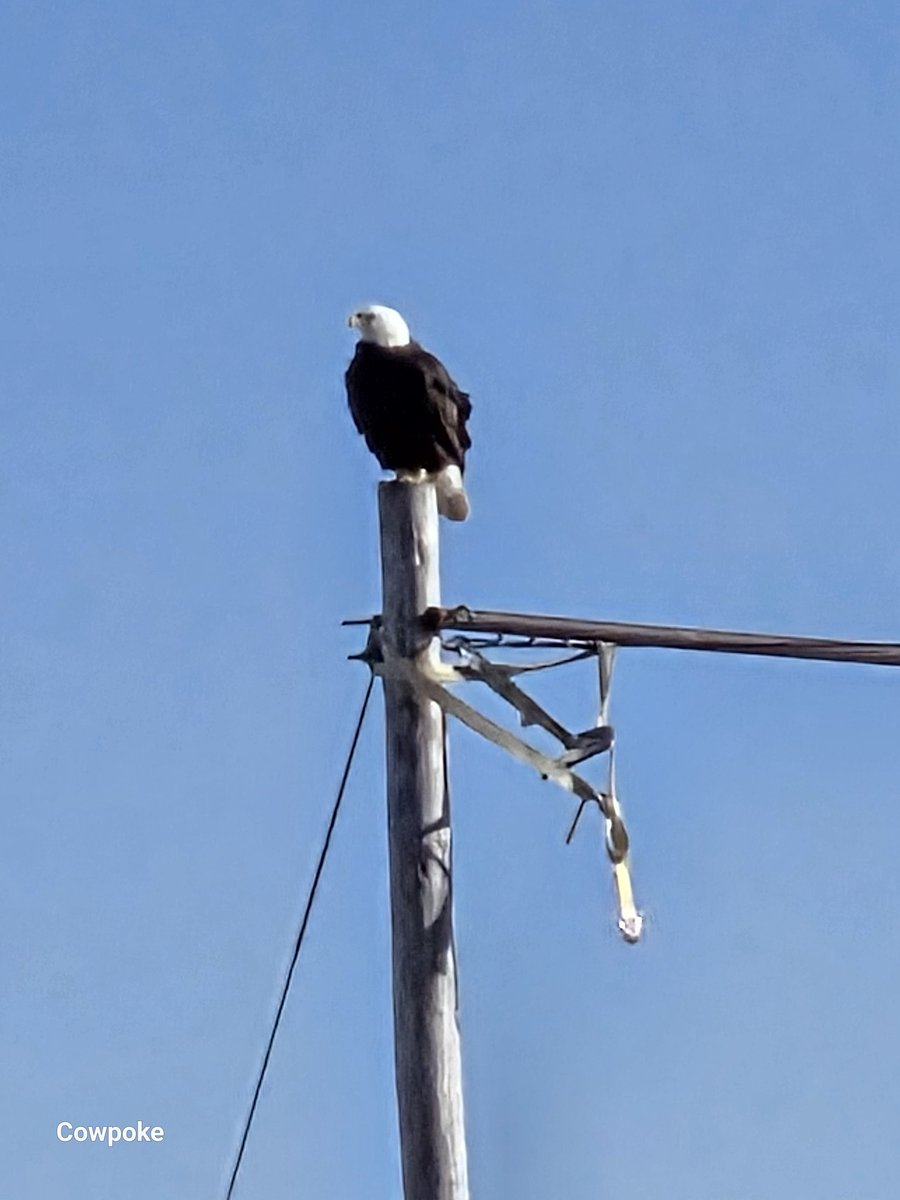 It takes dedication and work to be the person you want to be, failure isn't the end, its just a lesson along the way