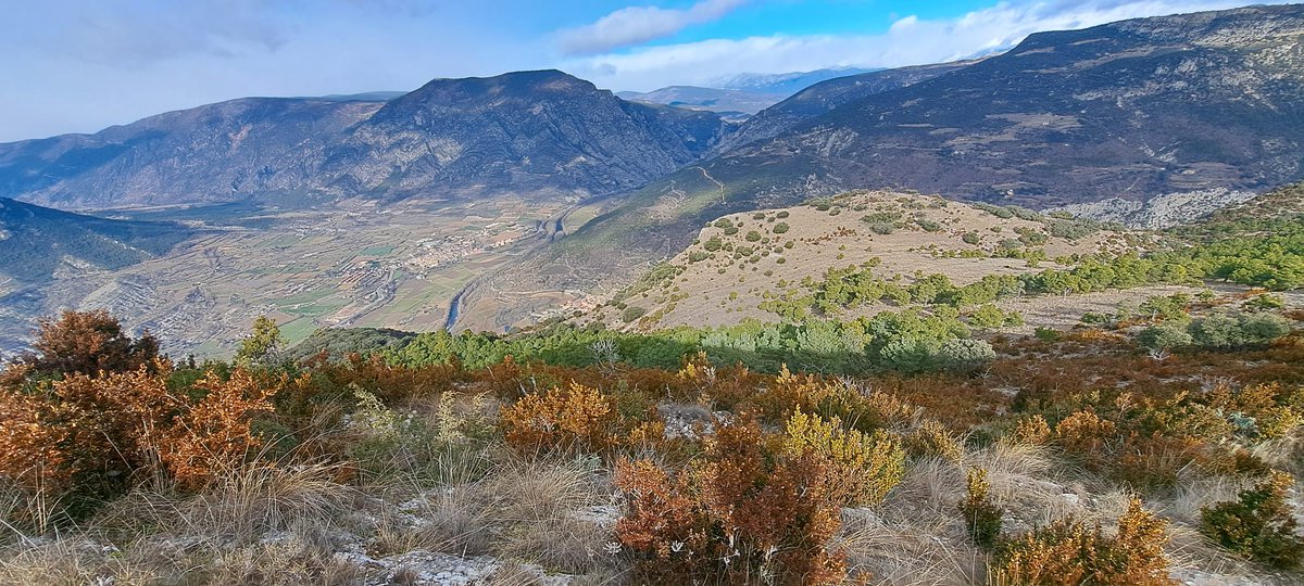 10/01 2026 100CIMS!!!: TOSSAL DE BALINYO, 1.211 metres (Alt Urgell)
Excursió amb CE Pica d'Estats

Distància: 8 km.     
Desnivell: 628 m.

#cepicadestats #100cims⛰️ #tossaldebalinyo #alturgell
