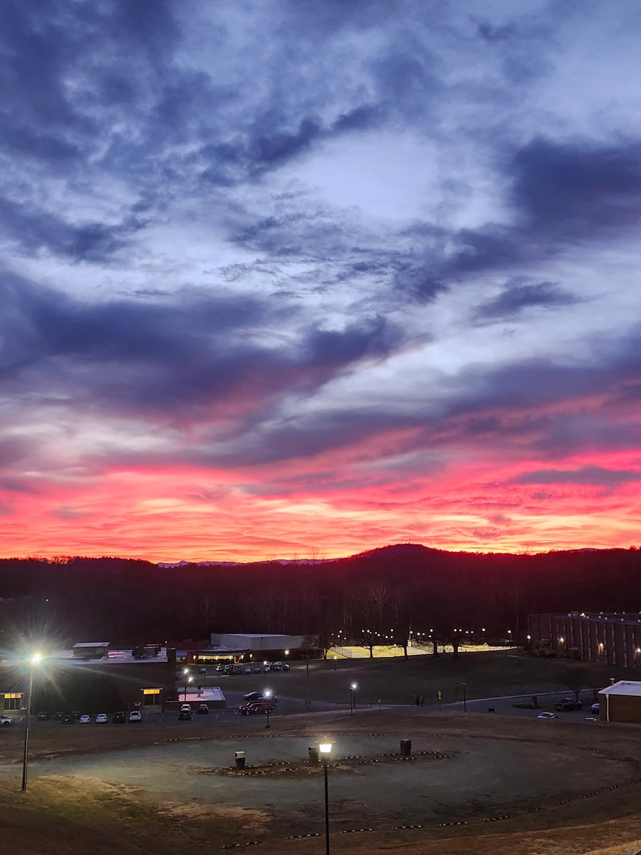 Sydney Bisson tweet media