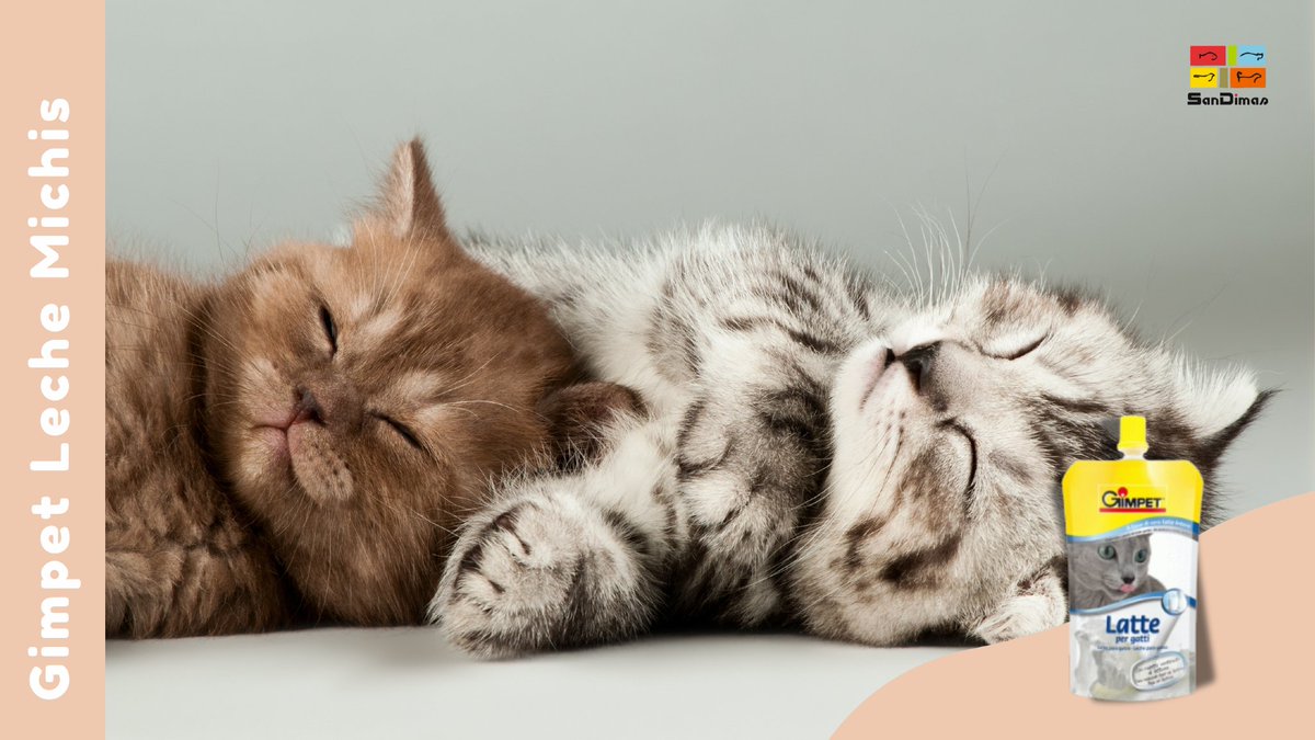 🐾💛 Gimpet Leche para gatos es rica en calcio, exquisita y con lactosa reducida, para que disfrute del placer de la leche sin molestias digestivas.

Disponible aquí: 🔗 prosandimas.net/catalogo/03018…

#sandimas #michis