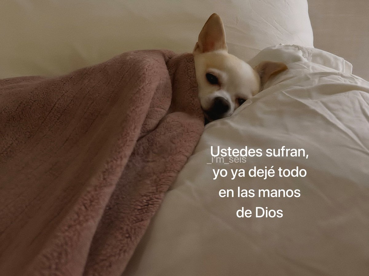 Bandidosfrasess's tweet photo. https://t.co/eOKcc8pZ6m
