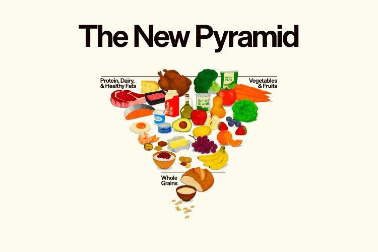 dr_galimberti's tweet photo. La “piramide alimentare ribaltata” di Trump non è una rivoluzione, ma un invito a distinguere: carne grass-fed, cereali integrali, latticini occasionali, pesce piccolo e vino con misura. Ne parlo qui 👉 https://t.co/CyCdBpYSGF https://t.co/IzBw5mm7jH