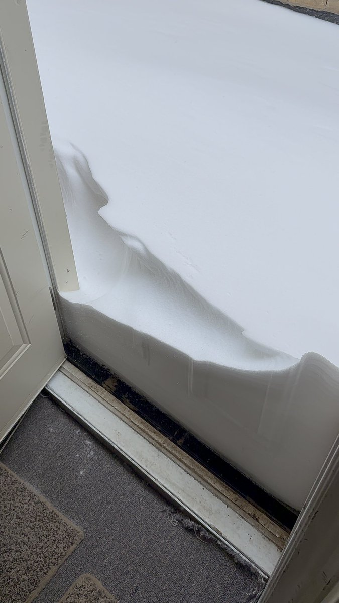 Perks of living in 🇨🇦🇨🇦 🎉❄️

 #FreeFreezer