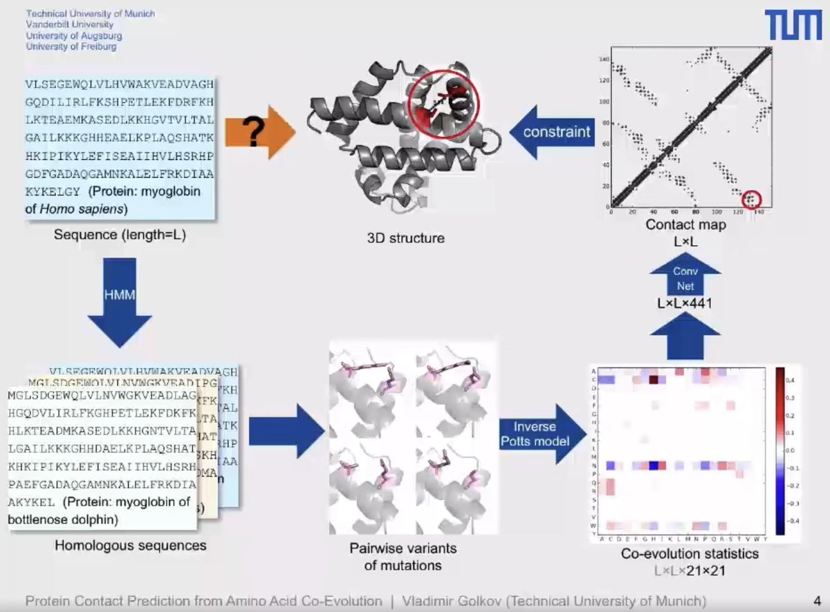 1st and 34th author of <a href="/GoogleDeepMind/">Google DeepMind</a>'s paper [1] each got 1/4 Nobel Prize for protein structure prediction through Alphafold. Who invented that? (Disclaimer: a student from my lab co-founded DeepMind.)

The 2021 paper [1] failed to cite important prior work [2] by Baldi and