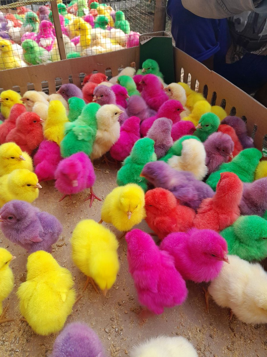 Eichan(えいちゃん) (@rockmetaleiji) / Posts / X