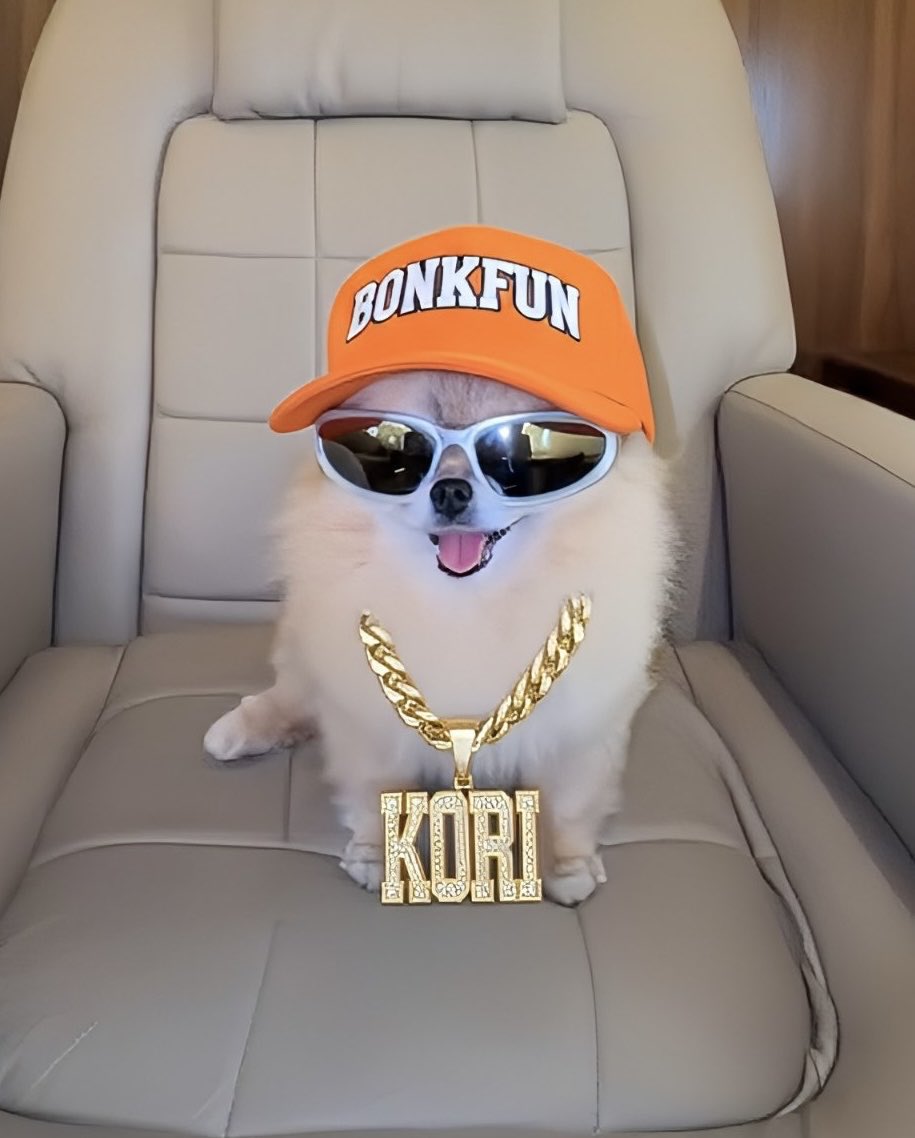 Nikokocrunch's tweet photo. @TraderEchoX Buy $KORI CODED https://t.co/l69YUJGWbV