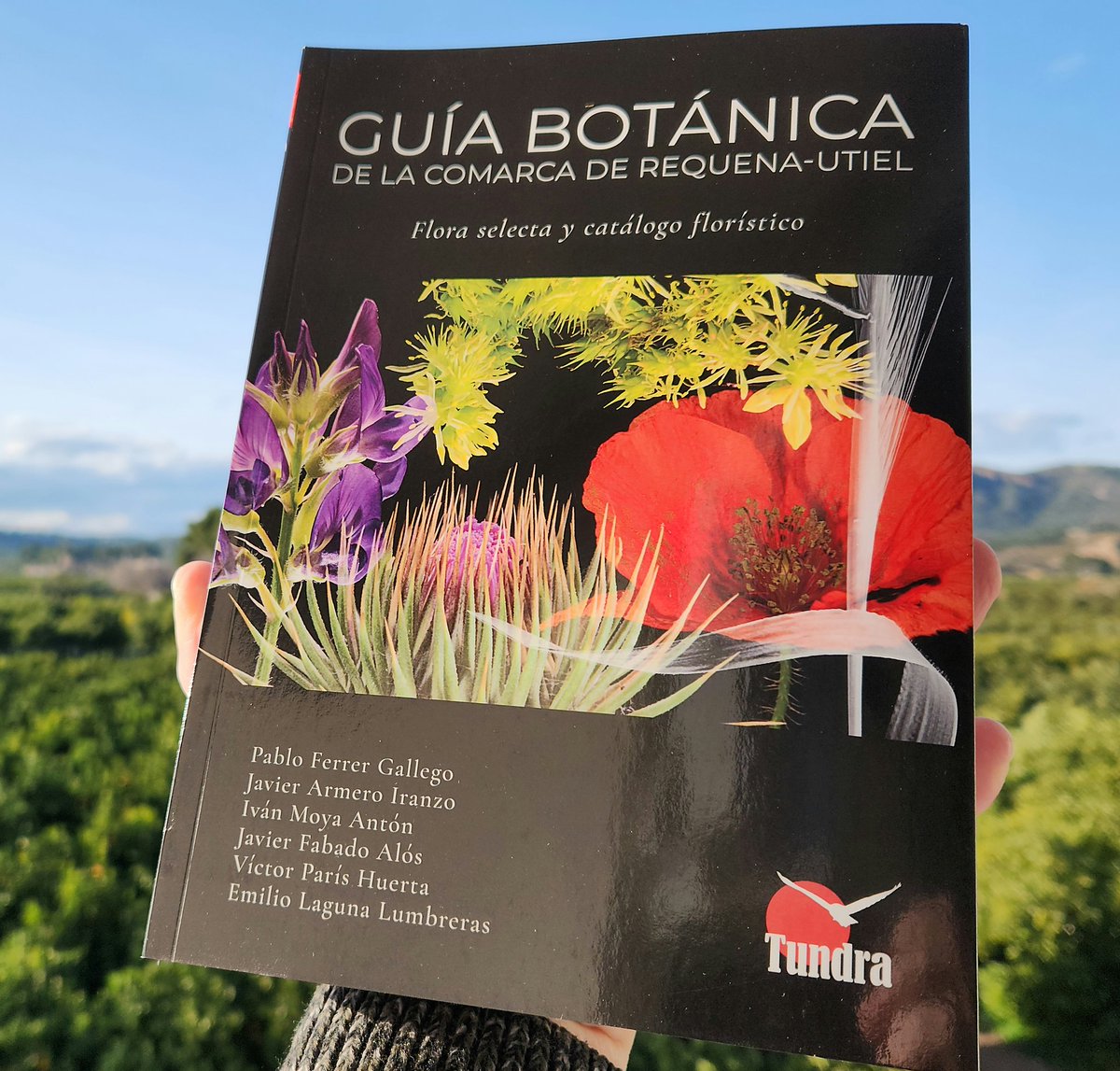 victorjhernandz's tweet image. ¡Recién llegado! Este libro es una joya. En realidad toda una guía de la flora característica del ámbito mediterráneo ibérico. Consíguelo con envío GRATIS en wwww.tundraediciones.es

#botánica #floraibérica #turismobotánico #guíadeplantas #guíadecampo