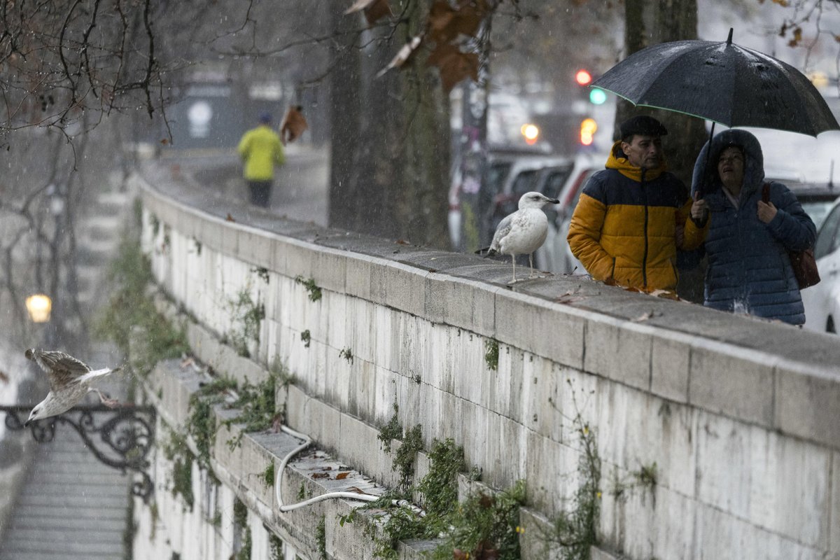 tempoweb's tweet image. MeteoGiuliacci: "Weekend col maltempo". Dove arriva la pioggia #15gennaio #iltempoquotidiano
iltempo.it/attualita/2026…