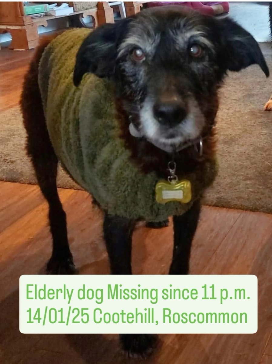 Lisa O' Connor (Animal Advocate) tweet media