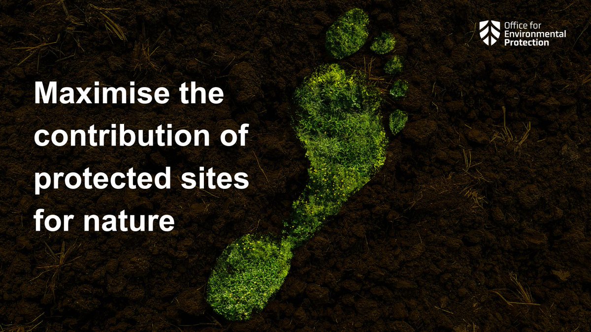 The Office for Environmental Protection tweet media